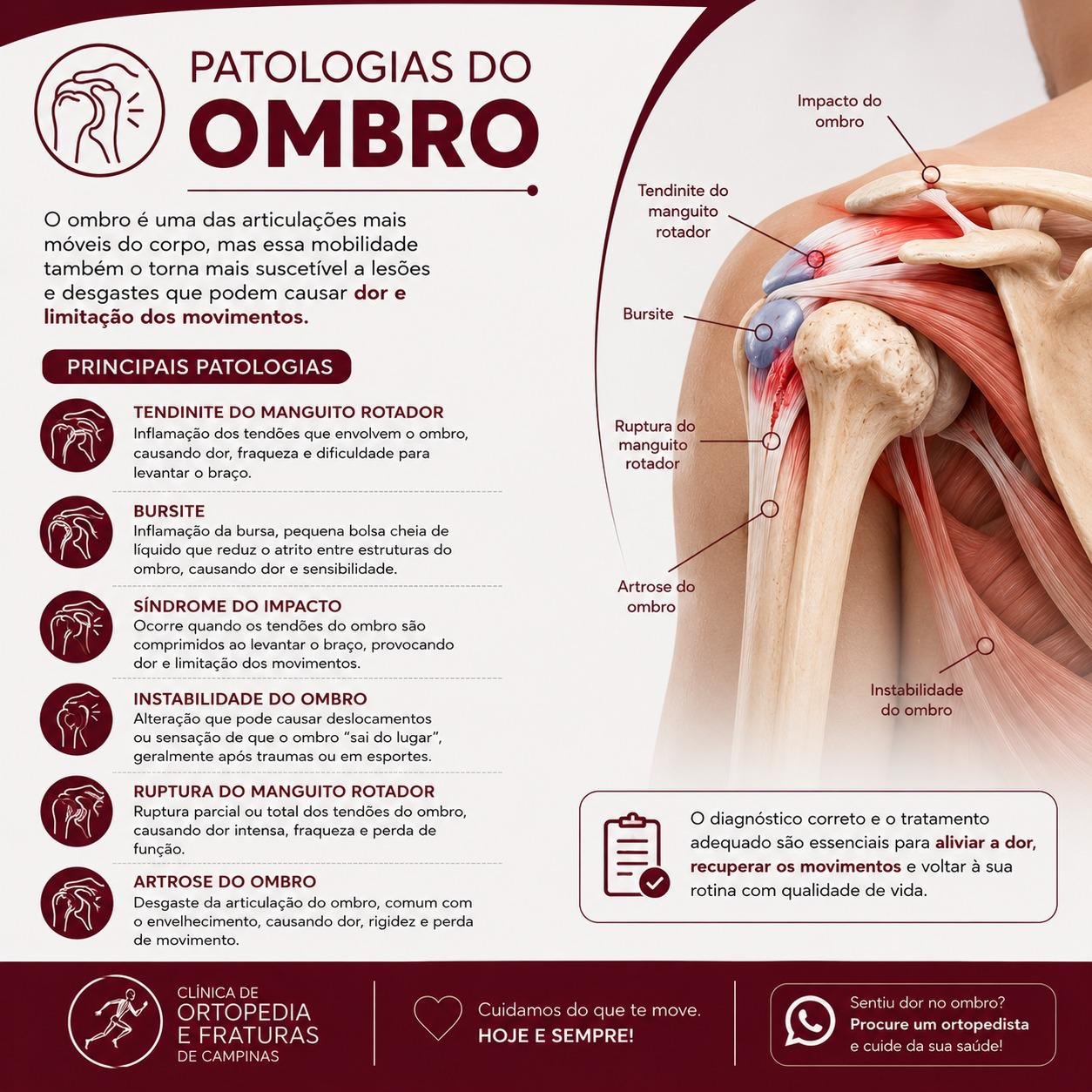 Ombro